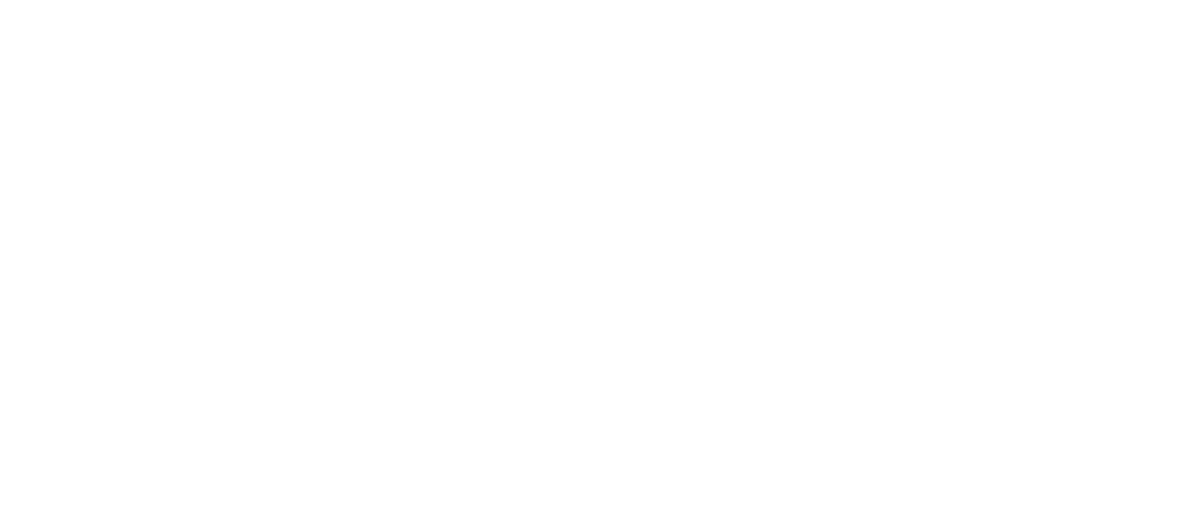 instituto zellen logo